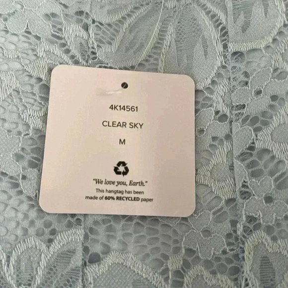 WILD SKYE SZ M NWT CAMISOLE LIGHT BLUE LACE FEMININE SEXY STRETCHY PRETTY - Picture 8 of 9